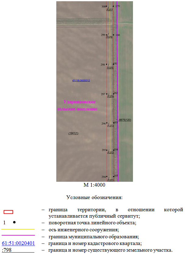 Постановление Правительства Ростовской области от 01.04.2026 N 290 "Об установлении публичного сервитута". Рис. 13
