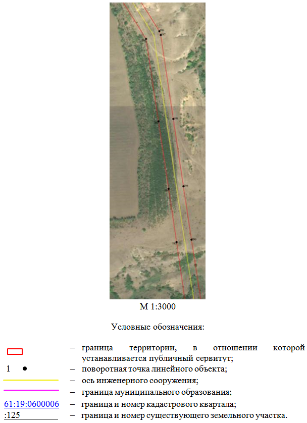 Постановление Правительства Ростовской области от 07.08.2026 N 629 "Об установлении публичного сервитута". Рис. 24